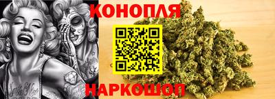 крисы Гагарин