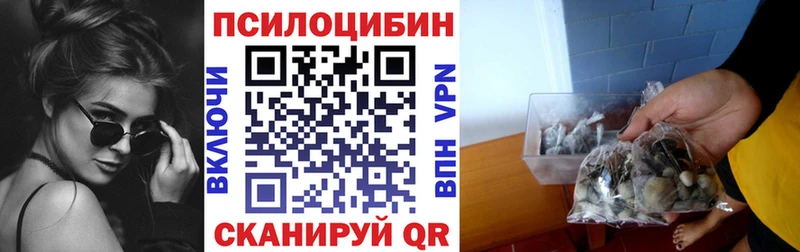Псилоцибиновые грибы Psilocybe  omg ссылка  Черкесск  где найти наркотики 