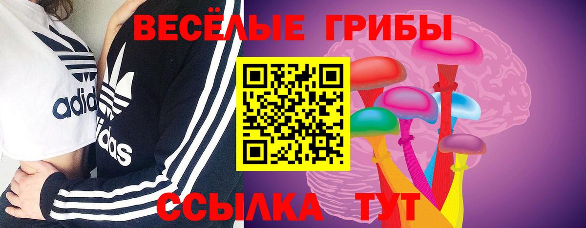Черкесск  Галлюциногенные грибы прущие грибы  как найти закладки  Вход с VPN 